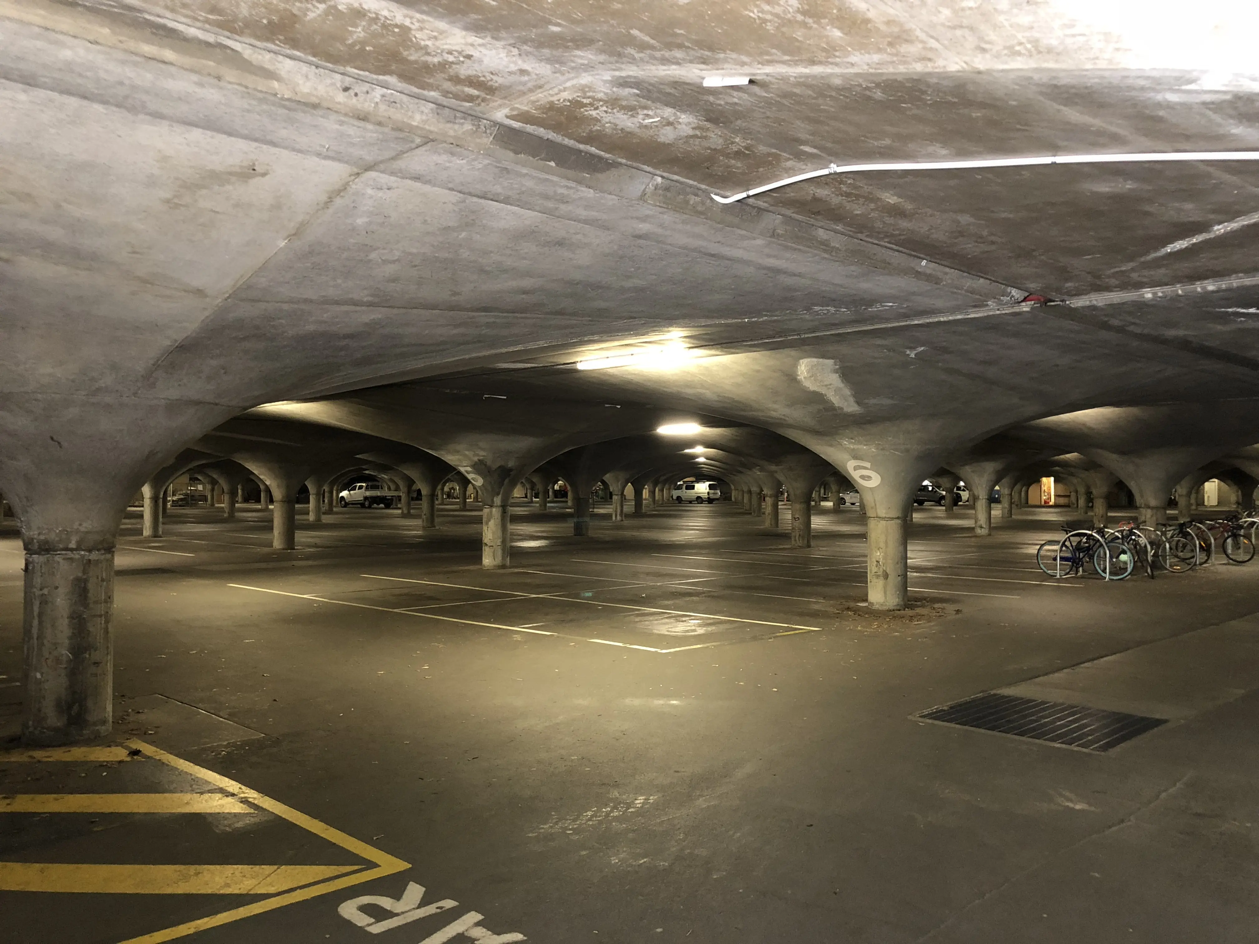 Empty underground parking deck with rows of flared concrete columns, painted bays, and no cars in the foreground